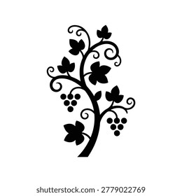 Vector silhouette illustration of a climbing vine plant with trailing leaves, isolated on a white background. Suitable for botanical design resources, garden decor projects, interior plant guides, and nature-themed graphic illustration materials.