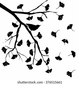 vector silhouette illustration depicting a Ginkgo Biloba tree 