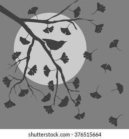 vector silhouette illustration depicting a Ginkgo Biloba tree 