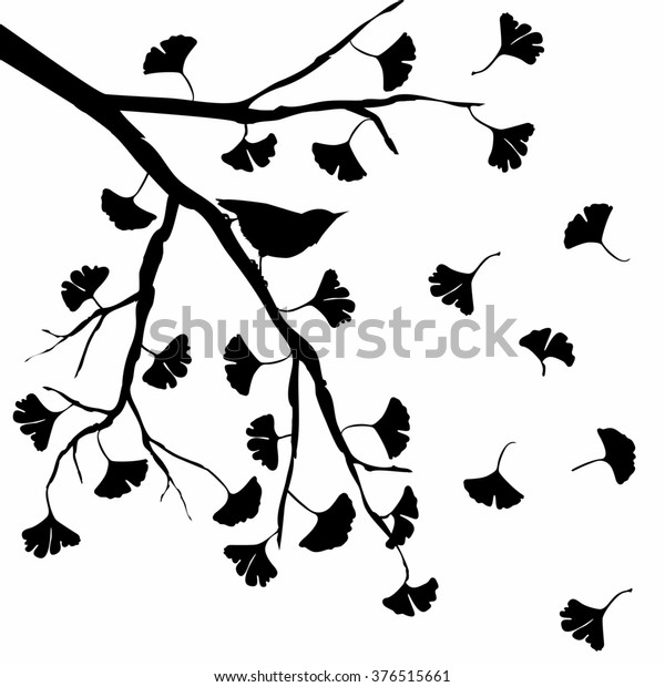 Vector Silhouette Illustration Depicting Ginkgo Biloba Stock Vector ...