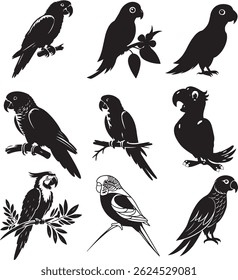 Vector silhouette illustration image of a parrot 