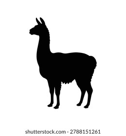 Vector silhouette illustration of a llama representing a South American wildlife and farm animal, isolated on a white background. Perfect for wildlife design resources, farm animal guides, South American culture graphics, and animal illustration materials.