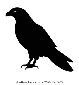 vector silhouette illustration of a Red tailed hawk with wings on a branch