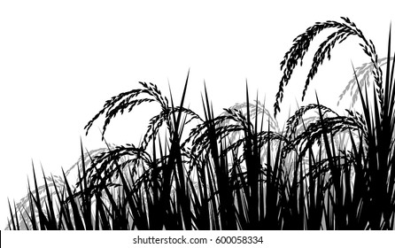 Vektorsilhouette-Illustration von reife Reispflanzensamen, die reif zur Ernte sind 