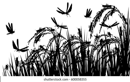 Vector silhouette illustration of a swarm of locusts attacking rice plants and threatening food security with locusts as separate objects 