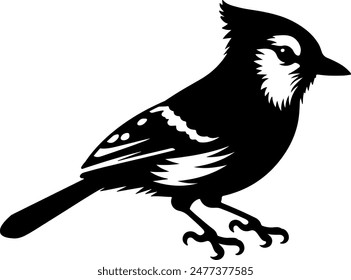 Vector silhouette image of a beautiful  Blue jay bird