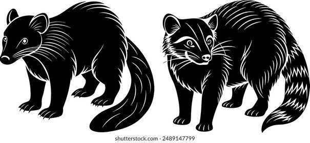 Vector silhouette image of Binturong