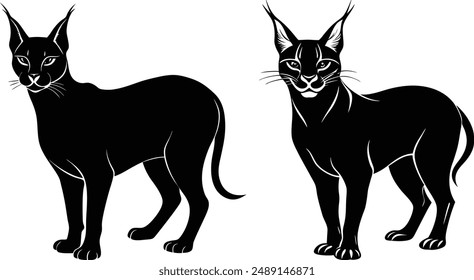 Vector silhouette image of Caracal cat