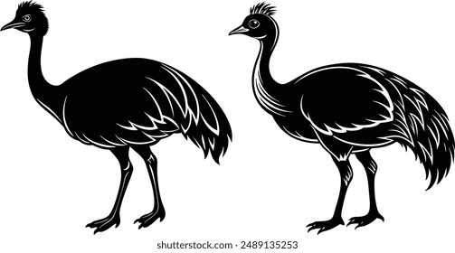 Vector silhouette image of Cassowary