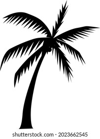 vector silhouette image of a coconut tree