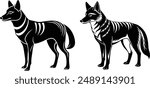 Vector silhouette image of Dingo