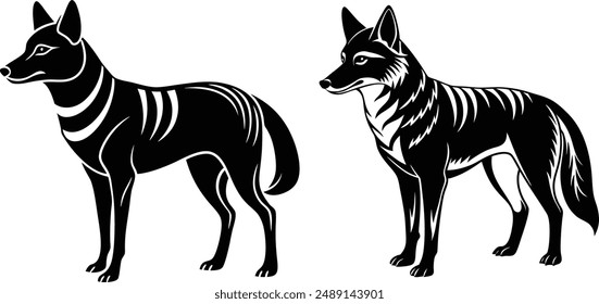 Vector silhouette image of Dingo