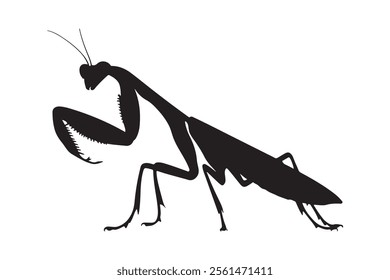 vector silhouette image of a praying mantis on a white background