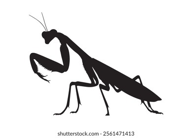 vector silhouette image of a praying mantis on a white background