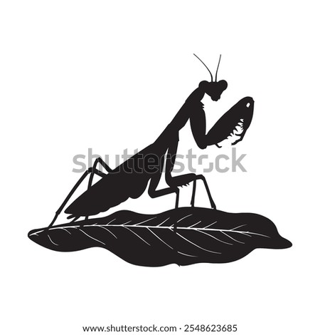 Similar – Image, Stock Photo Silhouette of a Mantis on Grass