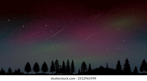 Vector silhouette and impressive night sky with shooting stars and northern lights - we are not alone in the universe