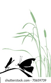 vector silhouette insect on white background