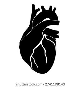 vector silhouette of the internal organs of the human heart in an oval shape