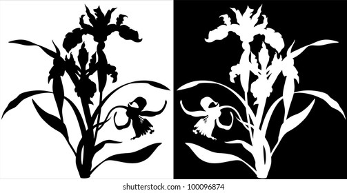 Vector silhouette of the Iris flower on a white background, and invert color.