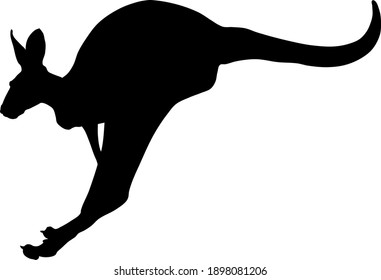 Vector silhouette of isolated kangaroo