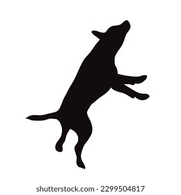 Vector silhouette of jack russell terrier on white background. Symbol of dog and pet.