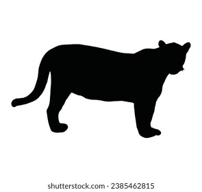 Vector, silhouette of jaguar, cheetah, icon.