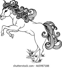 Vector silhouette of a jumping horse hand drawn black and white