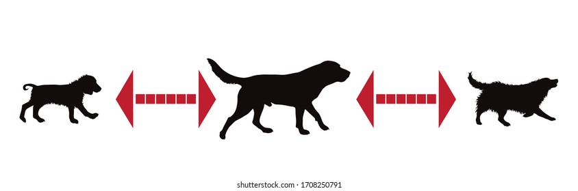 Vector silhouette of keep distance with different dogs.