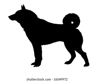 vector silhouette of the kidskin isolated on white background