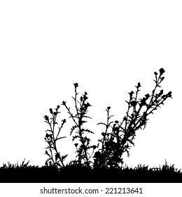 Vector silhouette landscape with grass  on a white background.