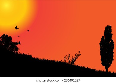 Vector silhouette landscape with trees at sunset background.