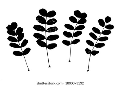 Silueta vectorial de las hojas. Conjunto de hojas aisladas sobre fondo blanco.