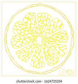 Vector silhouette of lemon slices. Isolated drawing fruit on a white background. Juicy healthy food design element. Vector stock illustration