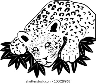 Vector silhouette of a leopard lying in ambush on the leaves.