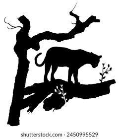 Vector silhouette of leopard surrounded by trees. 