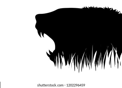 Vector silhouette of lion in the grass on white background.