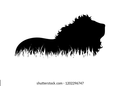 Vector silhouette of lion in the grass on white background.
