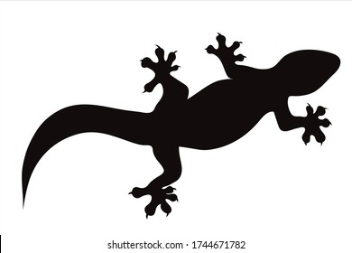 Vector Silhouette von Eidechsen auf weißem Hintergrund. Symbol des Tieres.