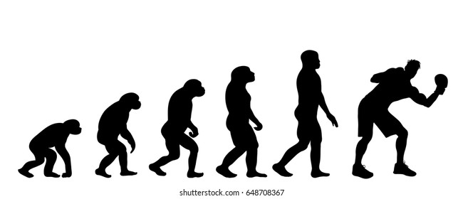 Vector silhouette of man evolution on white background.