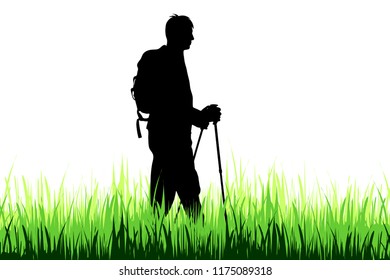 Vector silhouette of man who walk on the meadow with nordic walking.