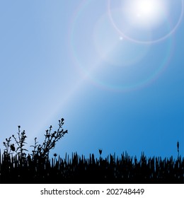 Vector silhouette of a meadow with flowers.