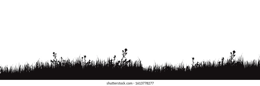 Vector silhouette of meadow on white background. Symbol of nature with grass.