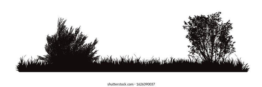 Vector silhouette of meadow on white background. Symbol of nature with grass.