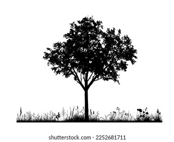 Vektorsilhouette von Wiese auf weißem Hintergrund. Symbol der Natur mit Gras und Baum.