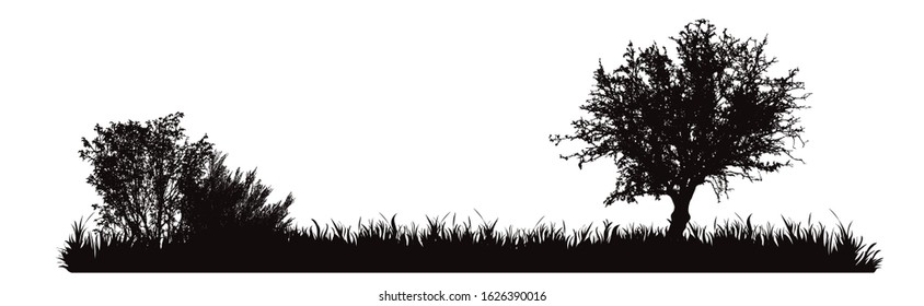 Vector silhouette of meadow with tree on white background. Symbol of nature with grass.