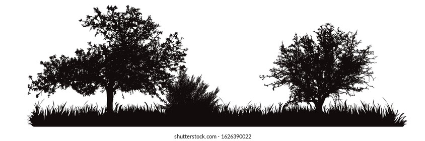 Vector silhouette of meadow with tree on white background. Symbol of nature with grass.