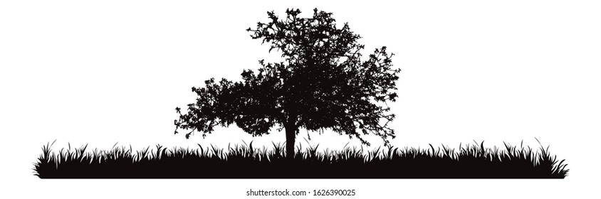 Vector silhouette of meadow with tree on white background. Symbol of nature with grass.