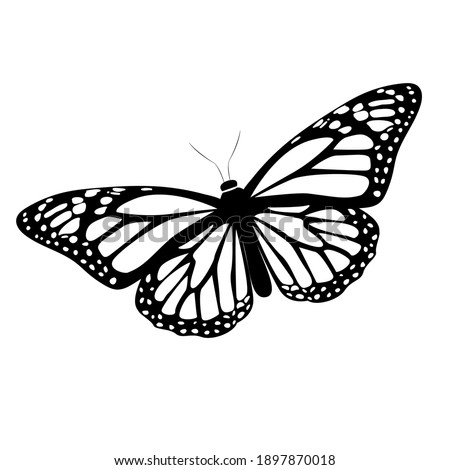 Vector silhouette of a monarch butterfly. Black butterfly. Insect butterfly black silhouette. Vector illustration EPS 10