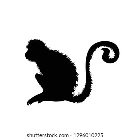 Vector silhouette of monkey on white background.