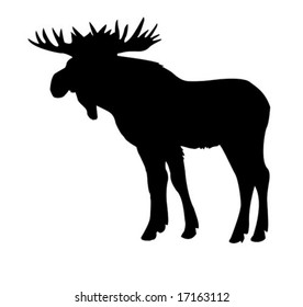 vector silhouette moose isolated on white background